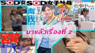 [SDJS-069] หนังเอวีซับไทย RIN MIYAZAKI มาแรงโคตรๆ โดนเย็ดที่ทำงานๆ กล้าๆกลัวๆจนโดนรุมแตกใน